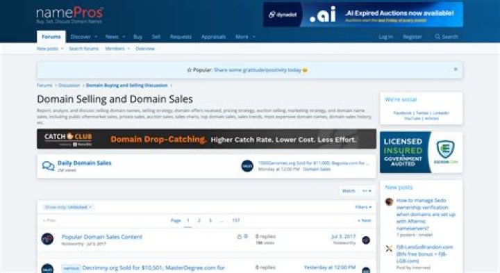 What domain names sell best?