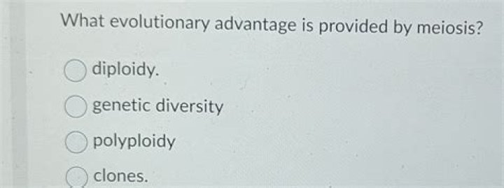 What evolutionary advantage is provided by meiosis?