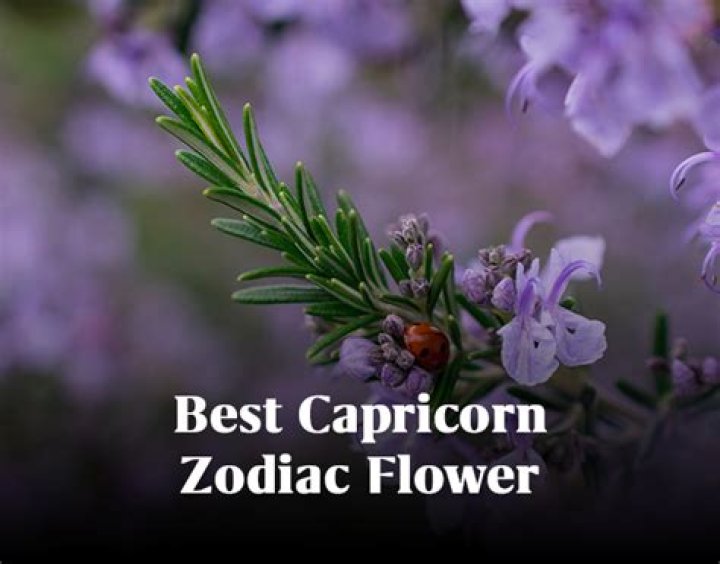 What flower is a Capricorn?