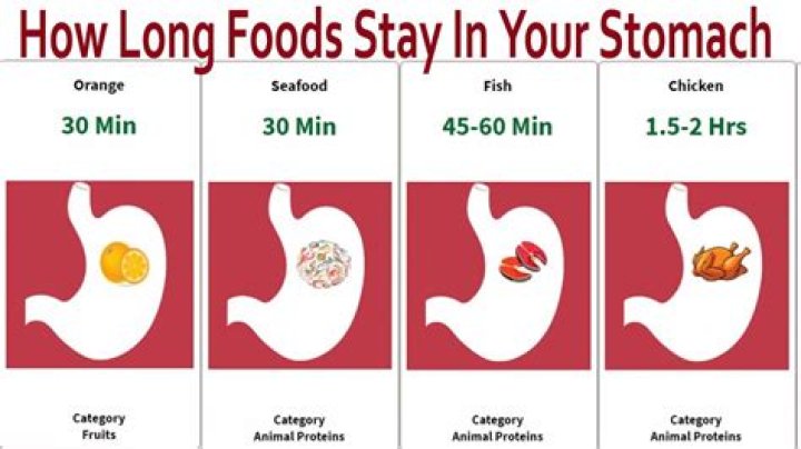 What food takes longest to cook?