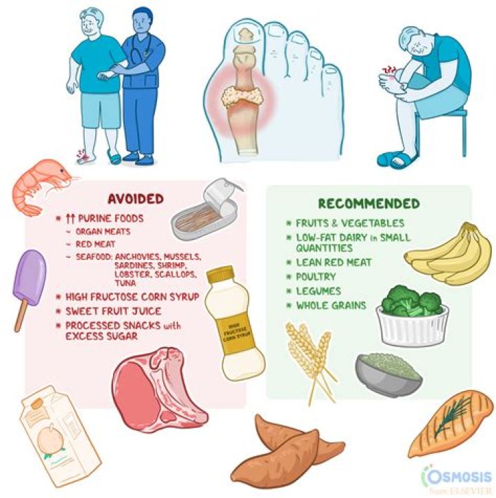 What foods cause plaque in the brain?