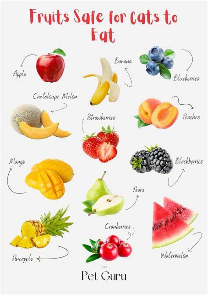 What fruits can cats not eat?