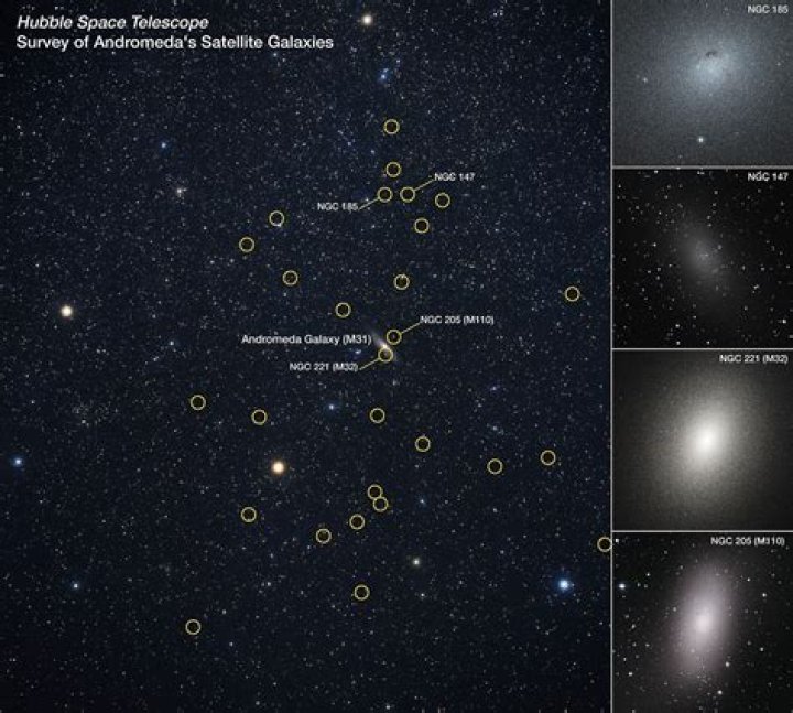 What galaxy is Procyon in?