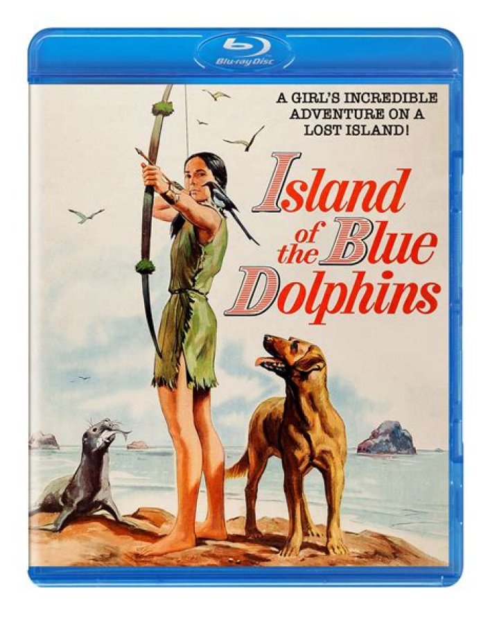What happened in chapter 23 of Island of the Blue Dolphins?