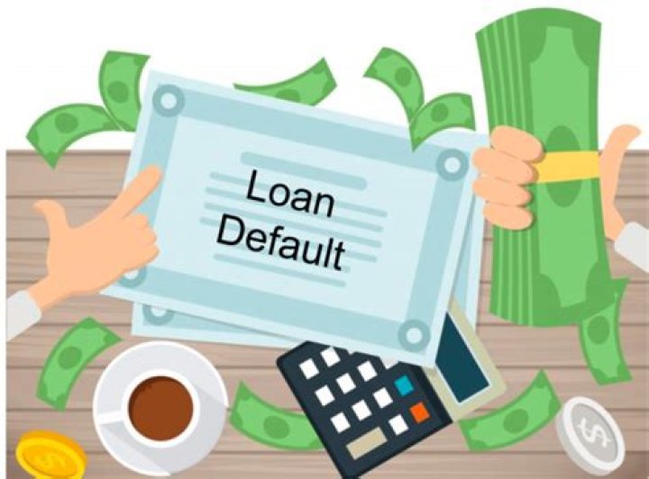 What happens if a company fails to repay a loan?