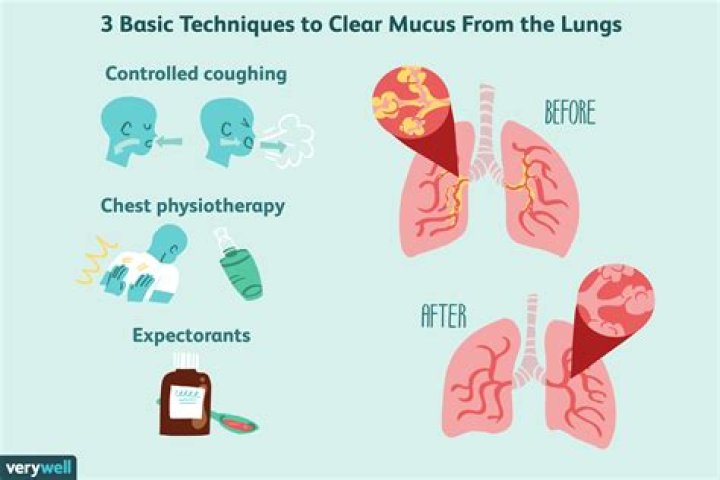 What happens if there is too much mucus in the lungs?