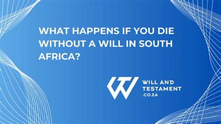 What happens if you don't have a will South Africa?