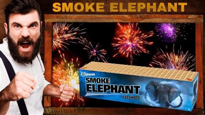 What happens if you smoke elephant poop?