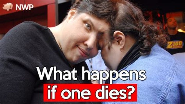 What happens if your DND character dies?