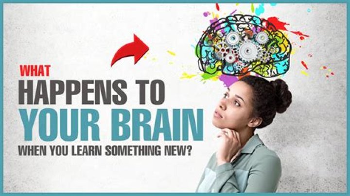What happens to your brain if you don't read?