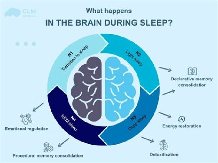 What happens to your brain when you don't read?