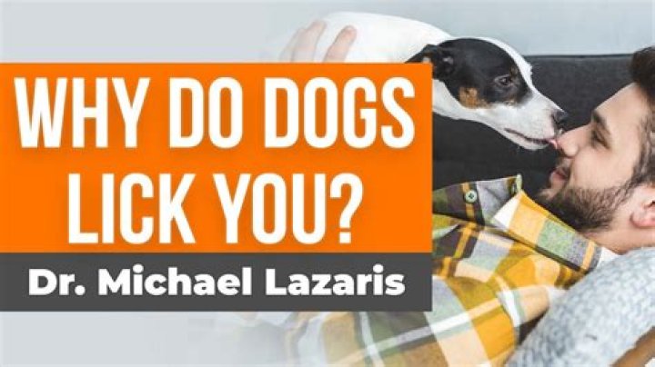 What if my dog licks a dead mouse?