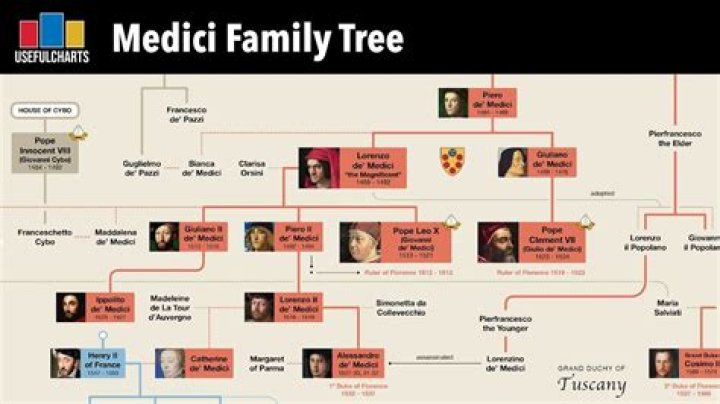What illness did Lorenzo de Medici have?
