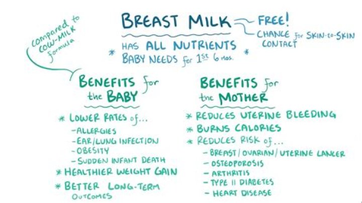 What immune factors are found in breast milk?