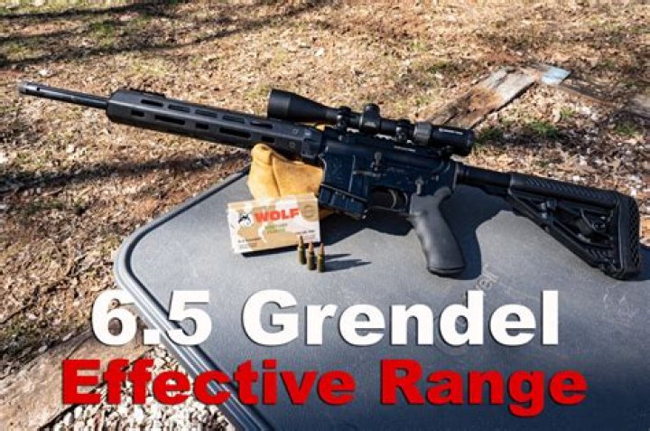 What is a 6.5 Grendel good for?