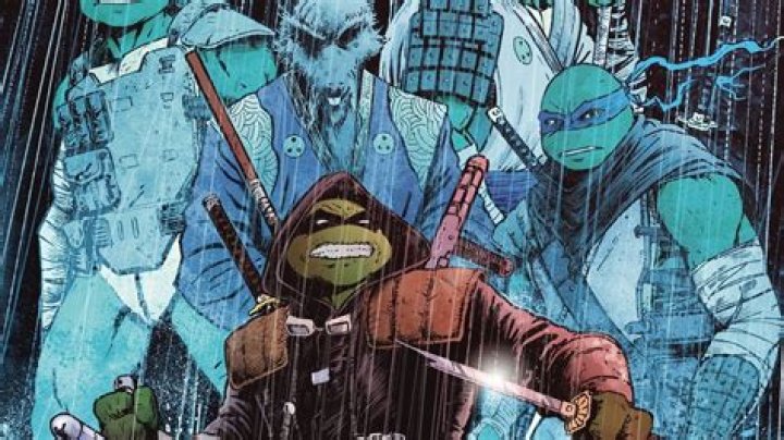 What is a Chinese ninja called?