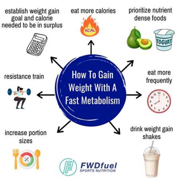 What is a fast metabolism?