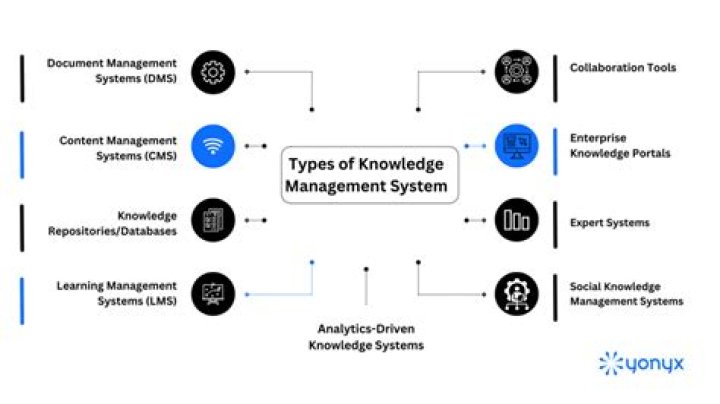What is a knowledge management system explain with example?