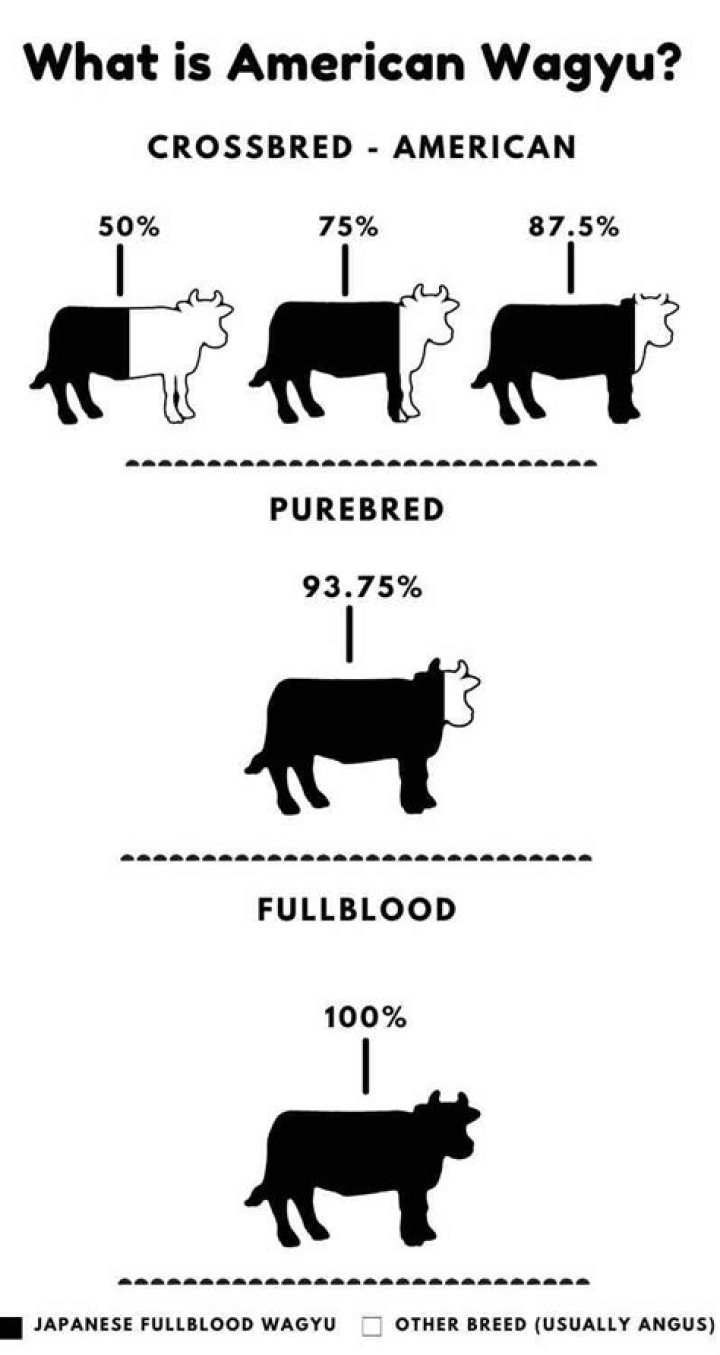 What is American Wagyu?