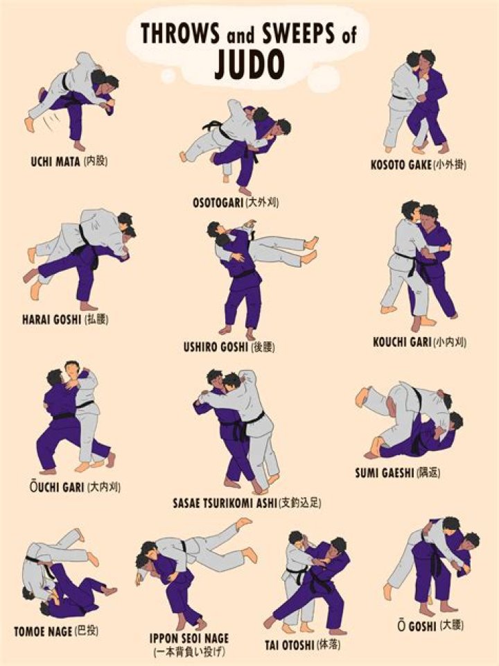 What is an arm bar in Jiu Jitsu?