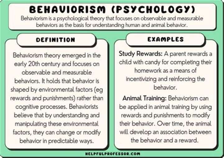 What is an example of Behaviourism?