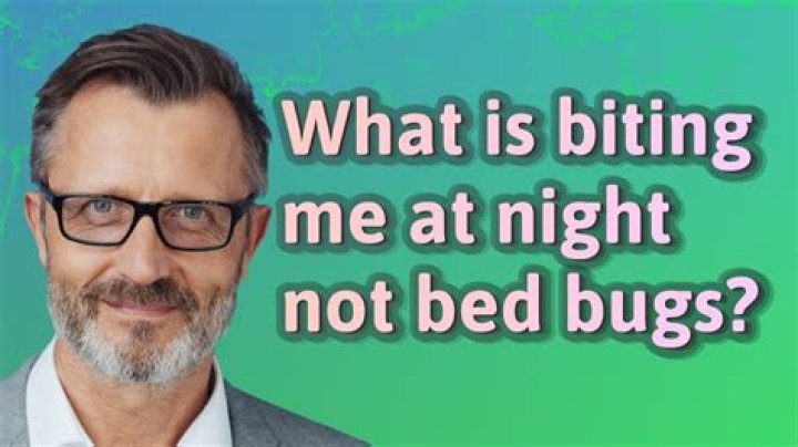 What is biting me in my bed?