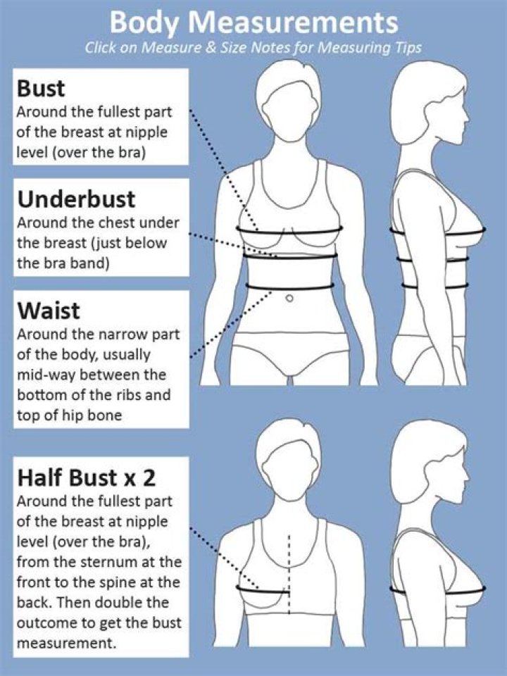 What is bust size in vest?