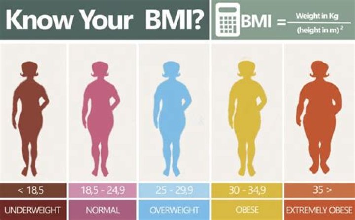 What is considered chubby?