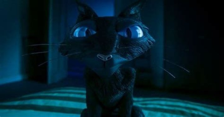 What is Coraline's cats name?