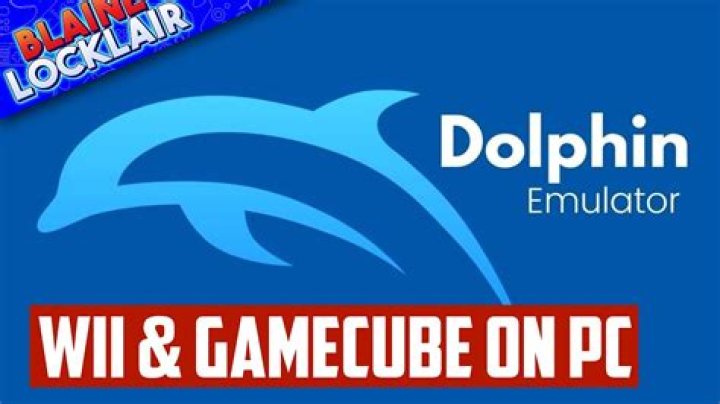 What is Dolphin VR?