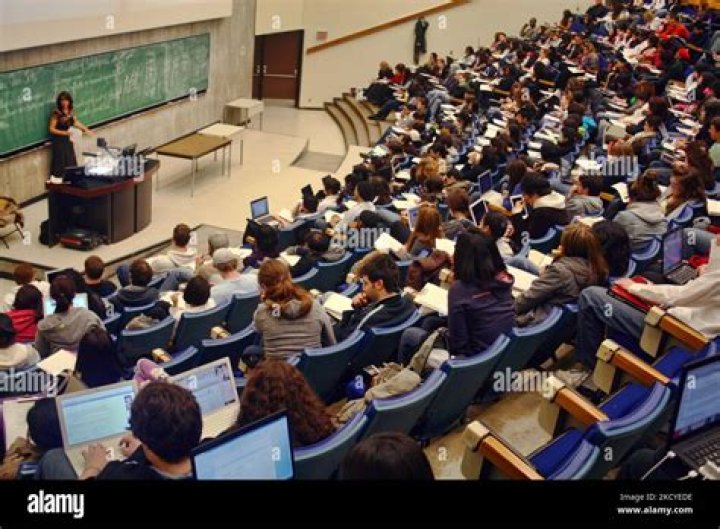What is female professor called?