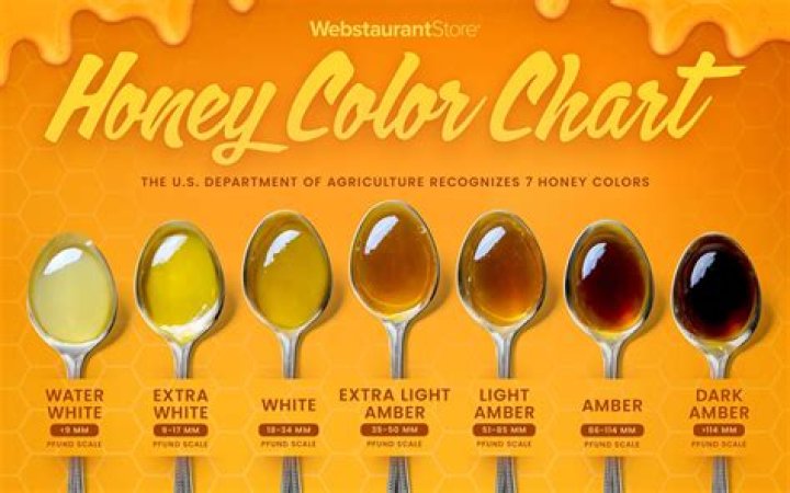 What is honeydew honey good for?