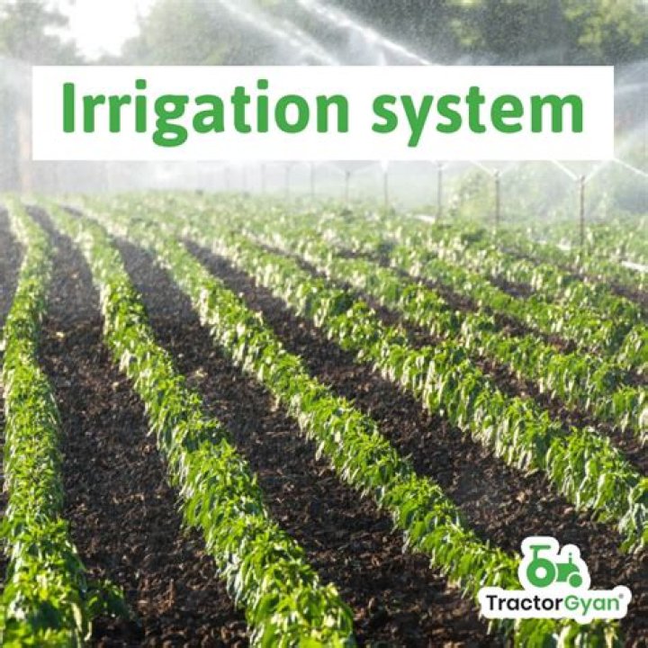 What is irrigation 8th?