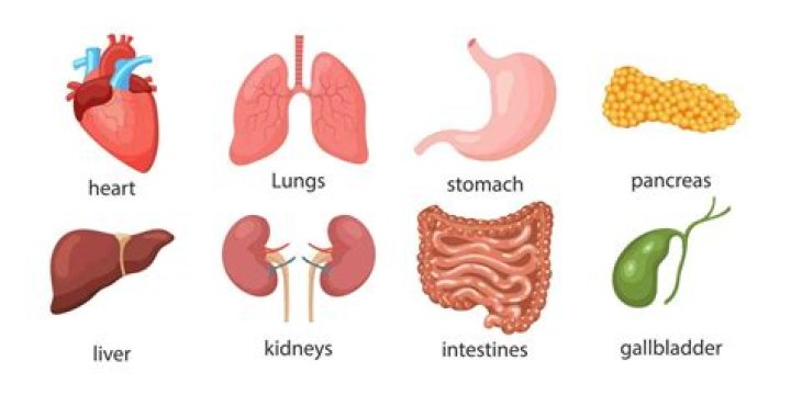 What is it called when your organs start shutting down?