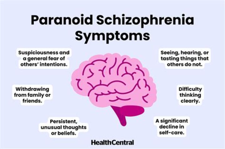 What is it like living with paranoid personality disorder?