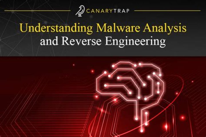 What is malware analysis and reverse engineering?