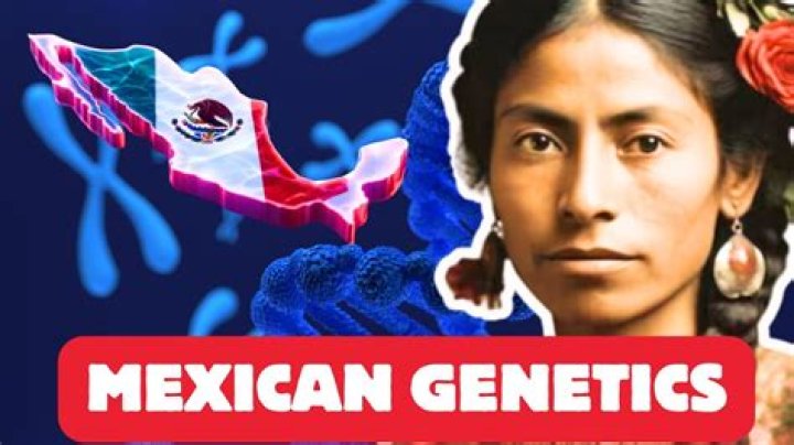 What is Mexican DNA?