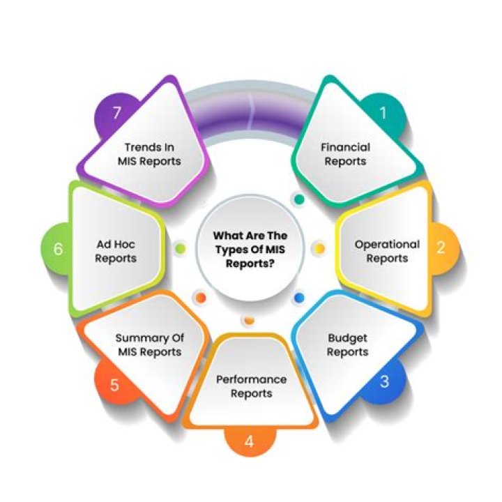 What is MIS report in HR department?