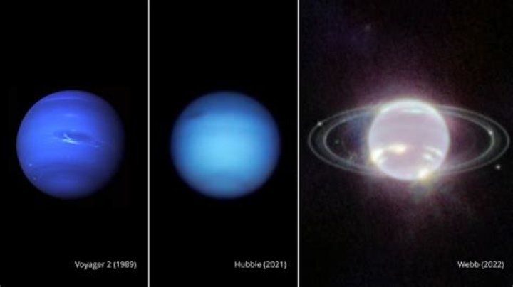 What is Neptune's powder?