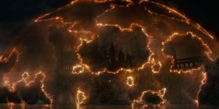 What is Protego horribilis?