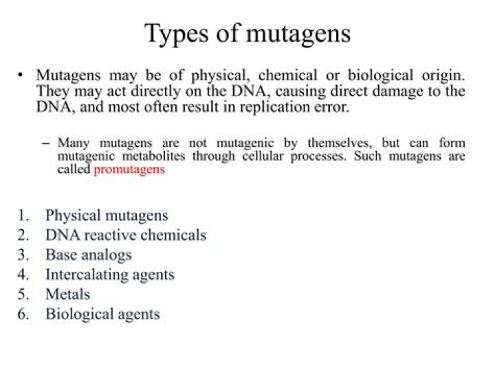 What is succubus mutagen for?