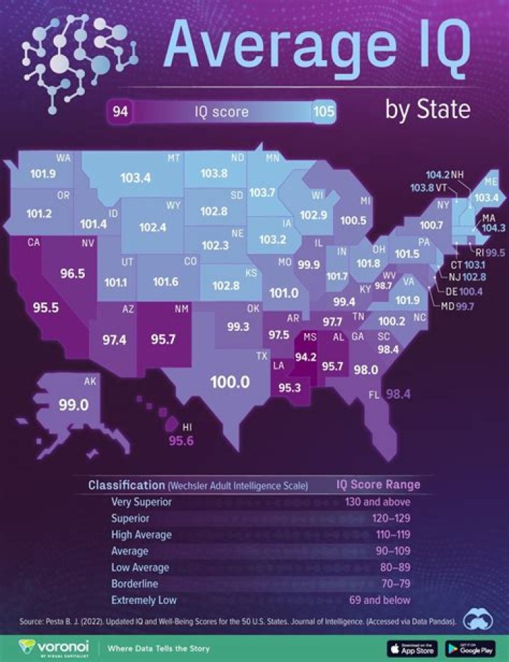What is the average human IQ?