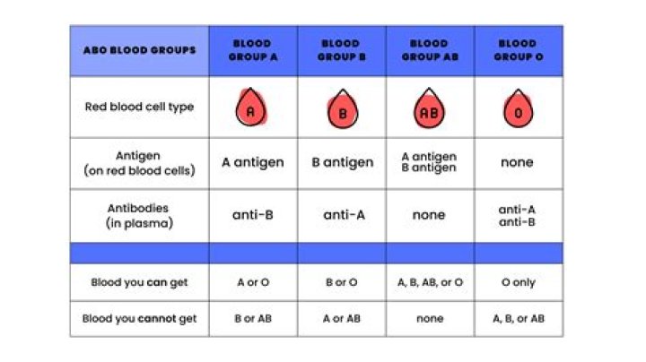 What is the behavior of B+ blood type?