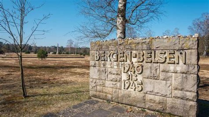 What is the Bergen bid in bridge?