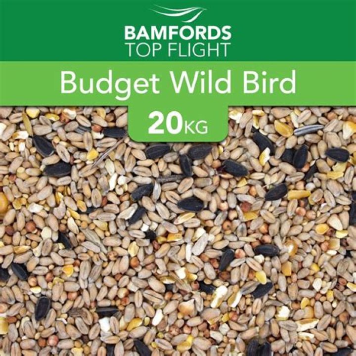 What is the best bird food for wild birds?