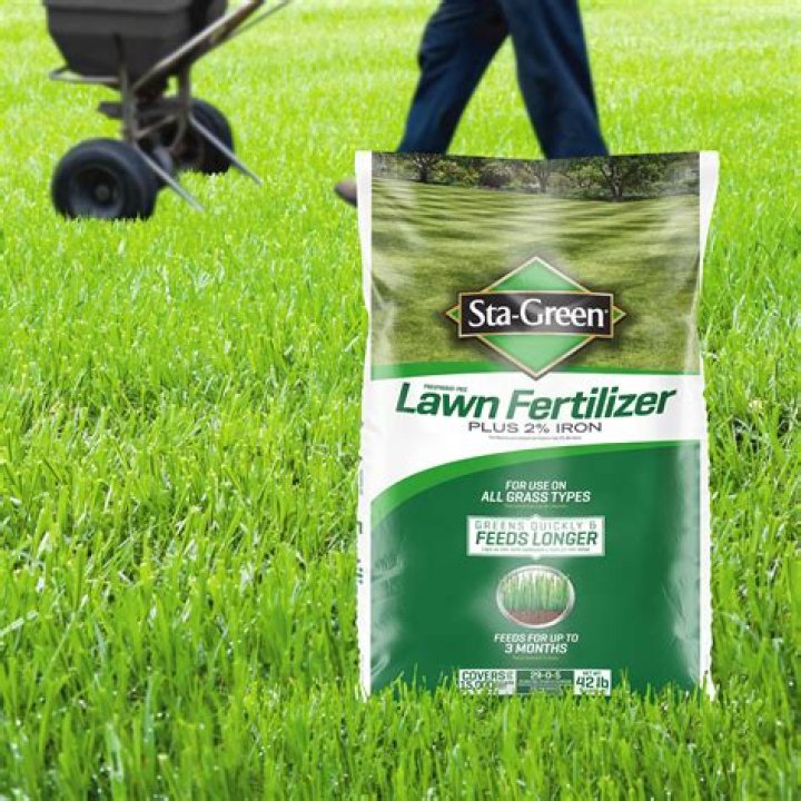 What is the best fertilizer to make grass green?