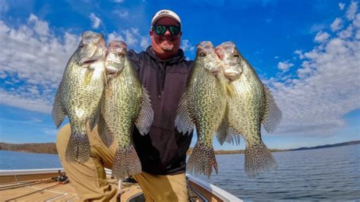 What is the best month for crappie fishing?