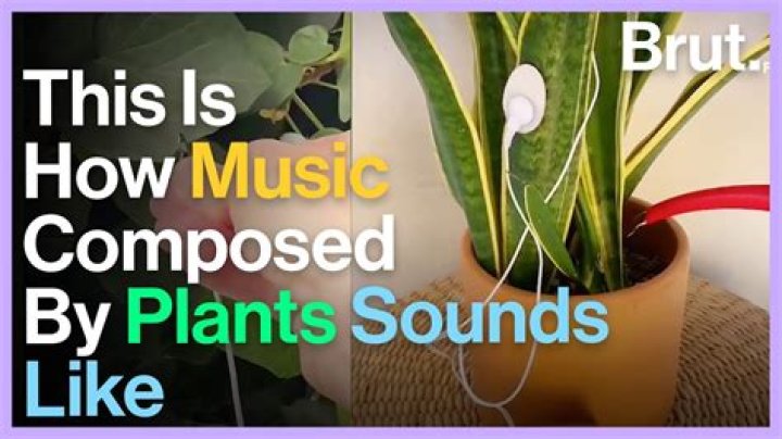 What is the best plant music device?