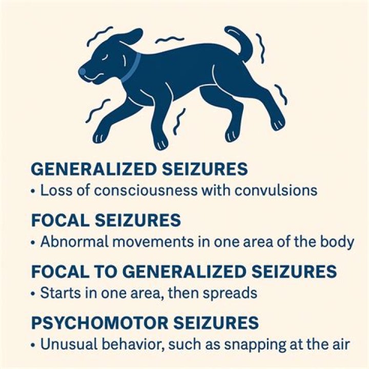 What is the best treatment for seizures?
