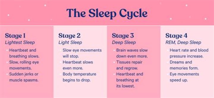 What is the deepest stage of sleep?